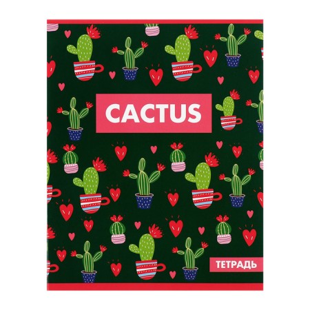 A set of notebooks of 5 pieces, 48 ​​sheets in the Calligrata cactus cage, covered cardboard, offset block-5