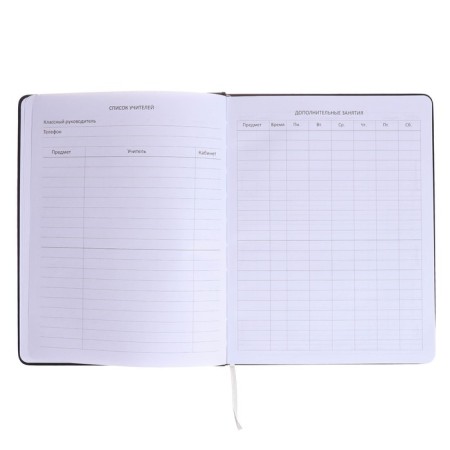 Universal diary for grade 1-11 Kitties, hard cover, artificial leather, silk-screen printing, Lyasse, 80 g/m2-5