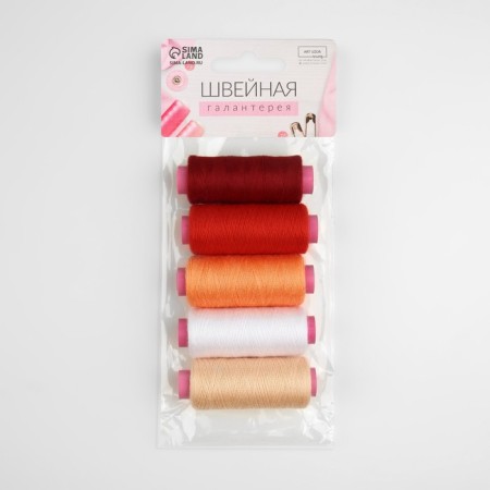 A set of thread "Bag Burnets", 40/2, 200 m, 5 pcs, color colorful color-1