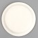 Disposable paper plate "with DR", offensive, 18 cm