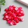 Set decor for creativity plastic "Half of Pearls" weight 22 g, d-0.9 cm, 12x11 cm