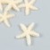 Decor for creativity Plastic "Yellow Sea Star" Sugar 3.8x0.5x3.8 cm