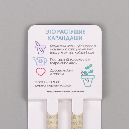 Growing gift pencils mini "Margarita + clove" set 2 pcs.-2