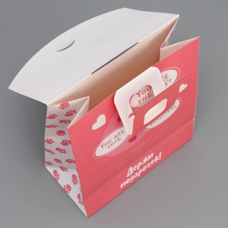 Gift package with a mold valve, packaging, Kitik, 23 x 27 x 11.5 cm-5