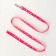 Kapron "Bones and Paws" kit, leash 120 x 1.5 cm, og 30-44 cm, pink
