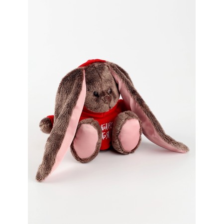 Soft toy "Bunny Li & LU in Hud"-1