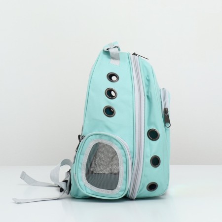 A backpack for carrying animals with a viewing window, green-4