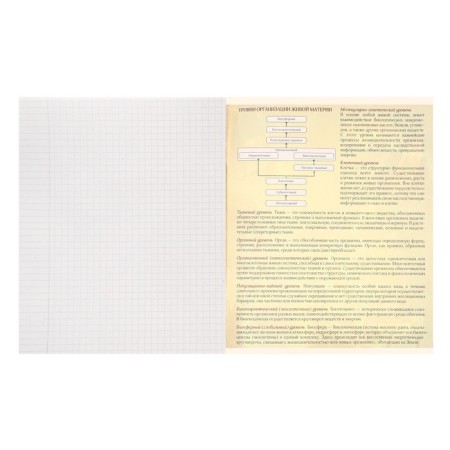 Subject subject calligrata "board", 48 sheets in a cell biology, with reference material, cover coated cardboard, block offset-3
