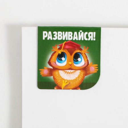Magnetic bookmarks on the book School, 2 pcs.-5