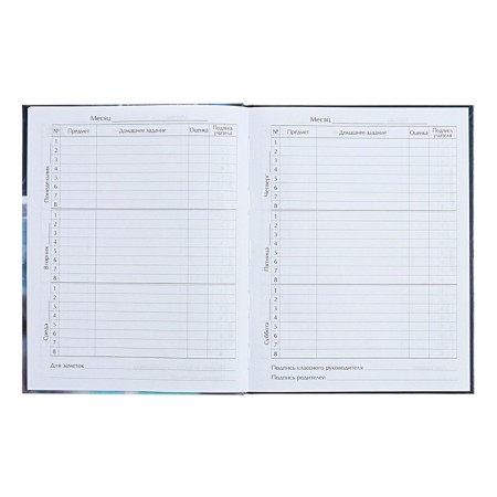 Diary for grades 1-4 "Fluffy Friends. Wolf's Wolf", solid cover, glossy lamination, 48 sheets-6