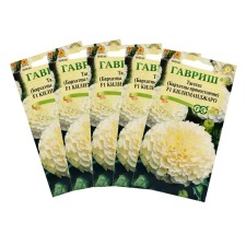 Flower seeds of marigolds are straight (tagetes) 