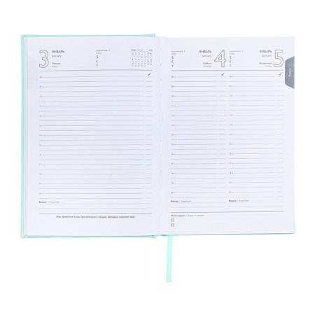 Dated 2025 diary, A5, 176 sheets of Escalada, a solid cover of artificial leather with foam rubber, pancake embossing, liesse, block 70 g/m2, green-11