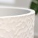 Flower pot "Mango white bud No. 7", 13 l