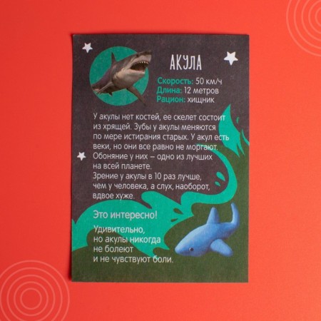 Growing animals in the egg "shark" mix-6