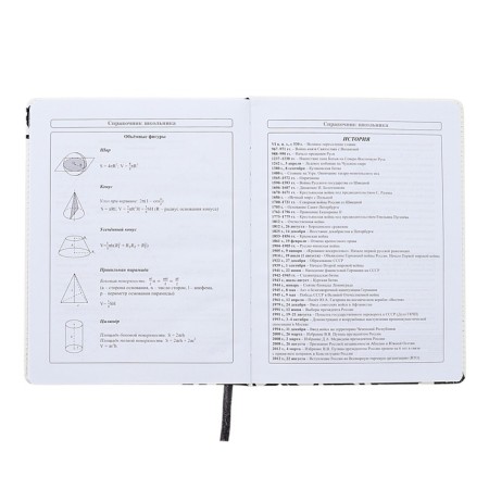 Diary 1-11 Grade "Hyipa duck", artificial leather, selective varnish, 48 sheets-10