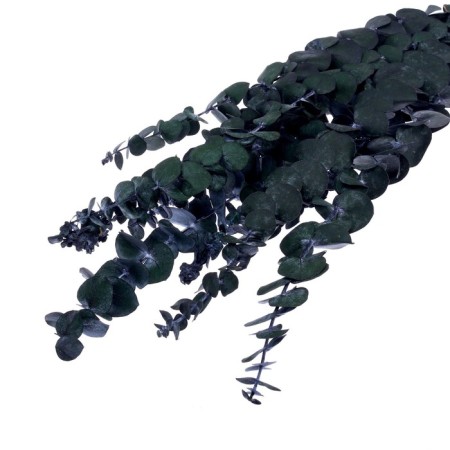 Sukhotzet "eucalyptus tree", green, 10 pcs. packaged-2