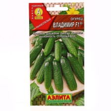 Cucumber seeds 