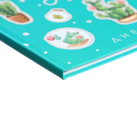 Universal diary for grades 1-11, "cacti", solid cover 7BC, matte lamination, glitter (sparkles), 40 sheets-2