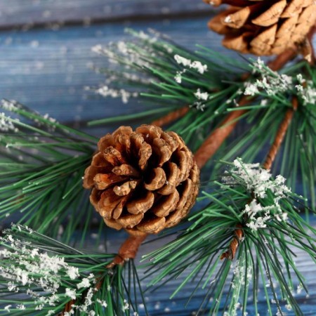 Decor "Winter Charm" Vetka needles with cones in the snow, 29 cm-1