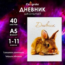 Universal diary for grades 1-11, 
