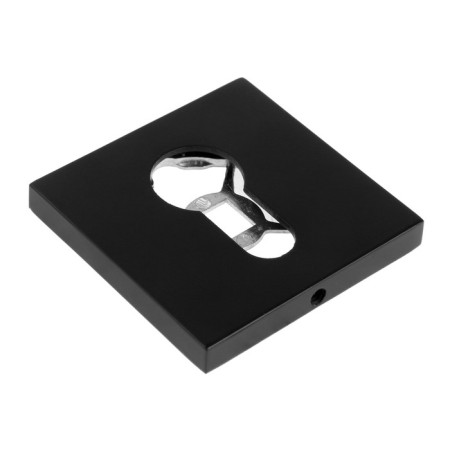 Door pad to Lockland Pro handles, black color-1