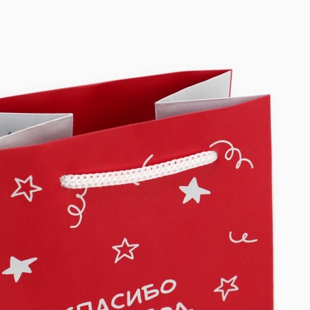 Gift package for a bottle, packaging, “goose”, 36 x 13 x 10 cm-6