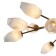 Ceiling Lamp Indigo, 13003/12c Brass. 12x40W, G9, 1080x1080x450 mm, matte color with gradient