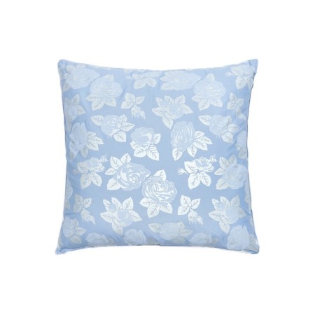 Pillow "Power of Nature", size 40x40 cm, buckwheat lusk, double