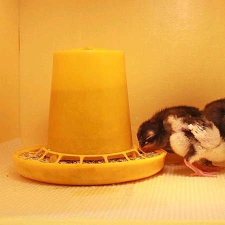 Auto feeder for an incubator/bruder, 0.6 liters-3