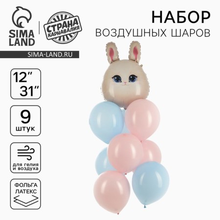 A set of balloons "Bunny", foil, latex, 9 pcs.