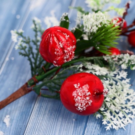 Decor "Winter Dreams" Berries Snow Tickets, 19 cm-1