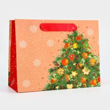 Package Gift New Year Laminated 