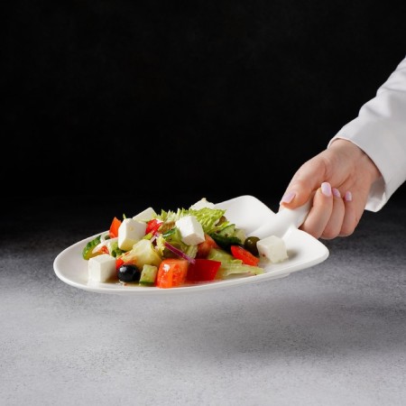 Porcelain dish Magistro "Blanche", 24 × 18 × 4.5 cm, white color-8
