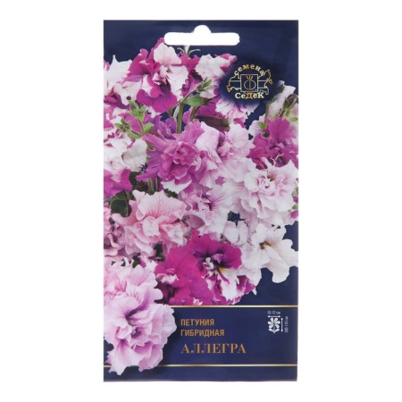 Petunia flowers "Allegrad",