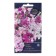 Petunia flowers "Allegrad",