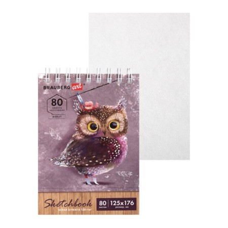 Album for sketches B6, 80 sheets, Brauberg Art Debut, on the crest, 120 g/m2, 112988