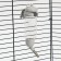 Drill for rodents "Pigzon", 125 ml, gray