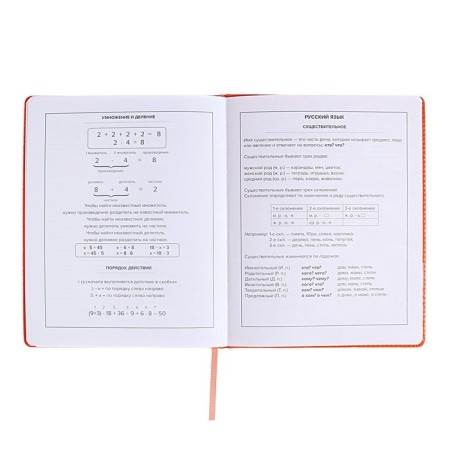 School diary for grades 1-11, "cat", firm covering with foam, artificial leather, lacing, liesse, universal cheat sheet, 48 sheets, block 80g/m2-11