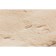 Blue Bunny mat, 50x80 cm, beige color