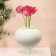 Vase for flowers decorative "Toledo" color white 20 x 15 x 15 cm