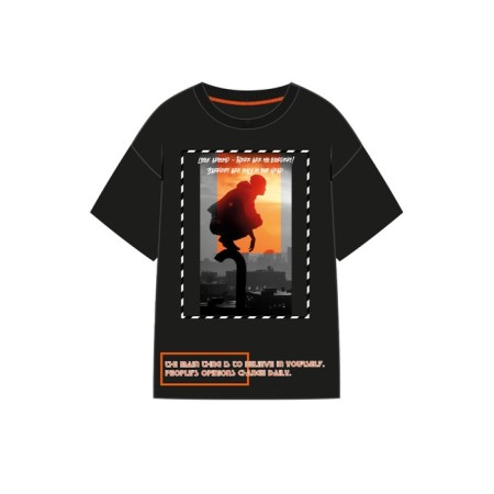 T -shirt for men PlayTode, size XXL-5