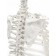 Lumbar spine "Luminer, hip joint" 40*26cm