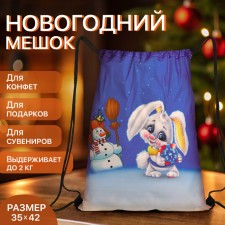 New Year 2025. New Year's bag for gifts on the cord 