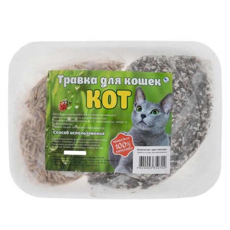 Grass "cat" for cats, on the substrate