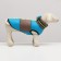 Jacket for dogs with a collar, size 10 (DS 25 cm, OG 34 cm, Osh 24 cm), gray-blue