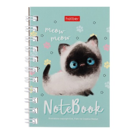 Notebook, A7, 40 sheets, in a cage, on a crest, "Koshariki", cover coated cardboard, OFSET block, mix-1
