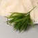 Bouquet "Fern Forest" 30 cm, mix
