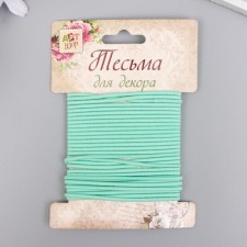 Braid decorative elastic band 