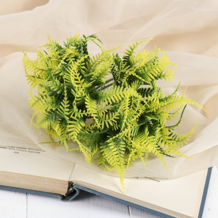 Bouquet "Wavy fern" 15 cm-2