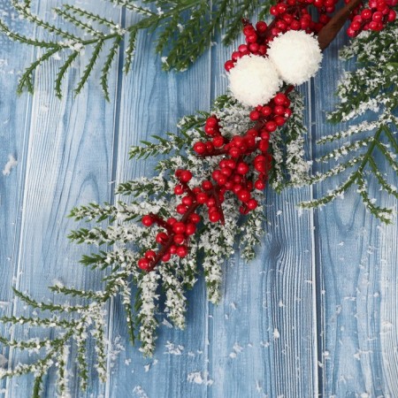 Decor "Winter Dreams" New Year's branch, 50 cm-1